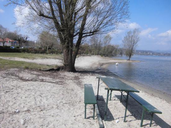 Lake Maggiore 2 Minutes Apartment Dormelletto Exteriér fotografie