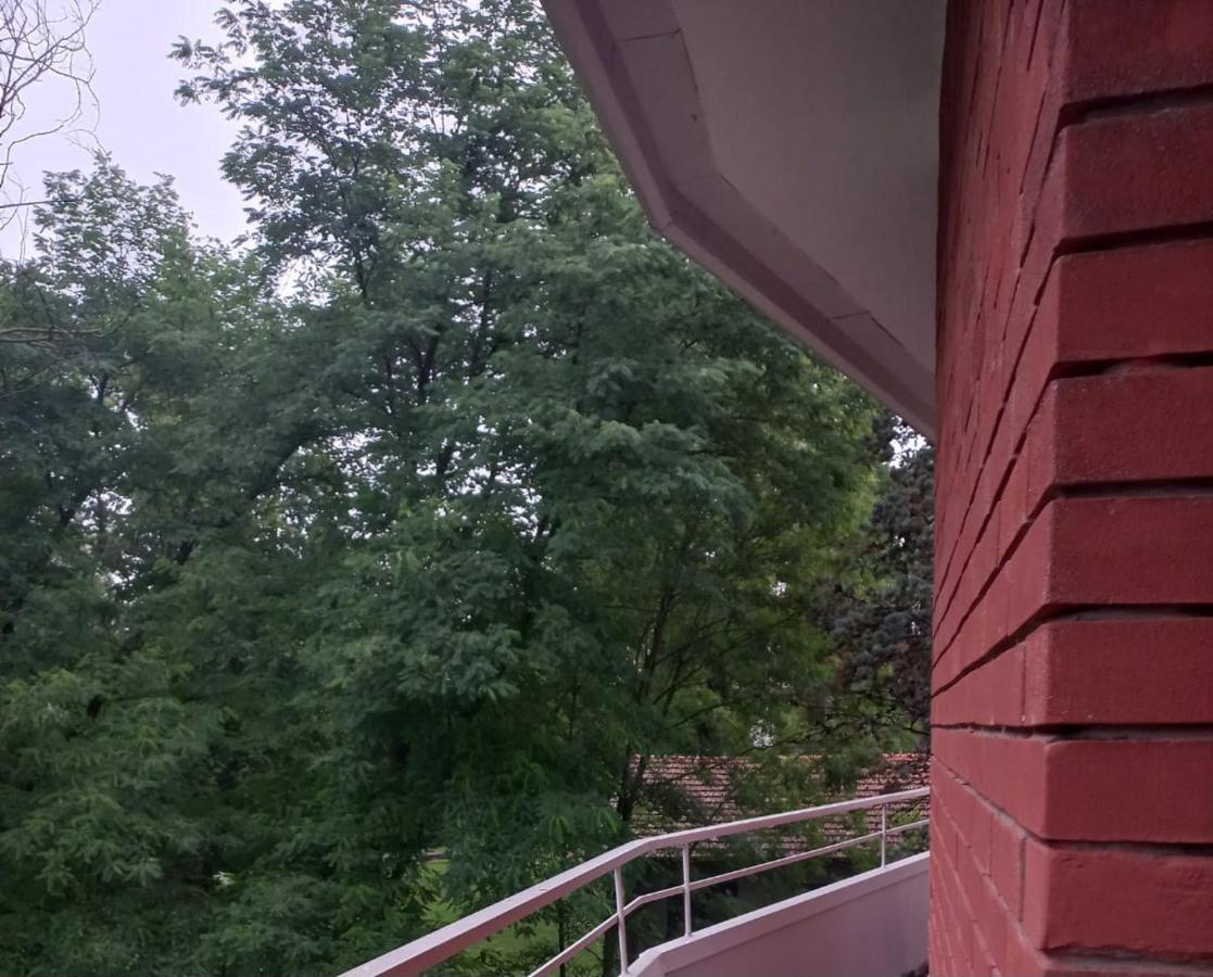 Lake Maggiore 2 Minutes Apartment Dormelletto Exteriér fotografie